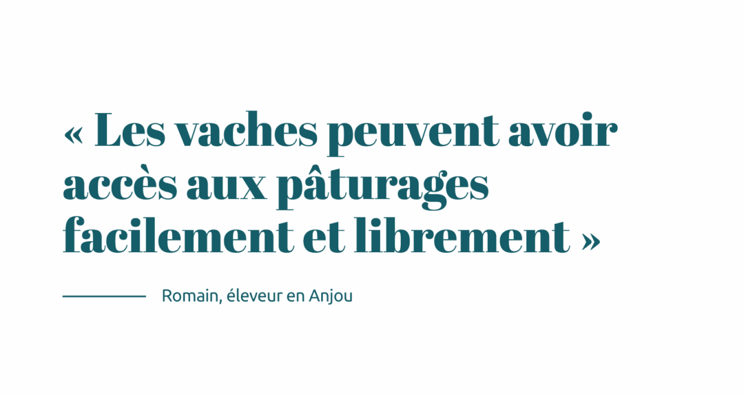 Citation Romain