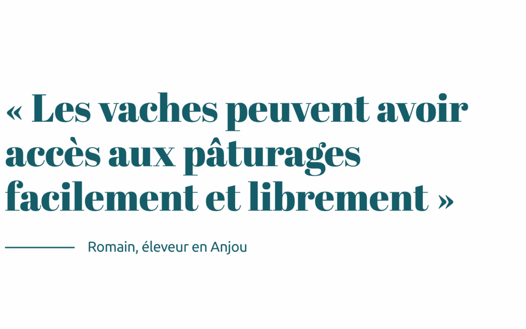 Citation Romain
